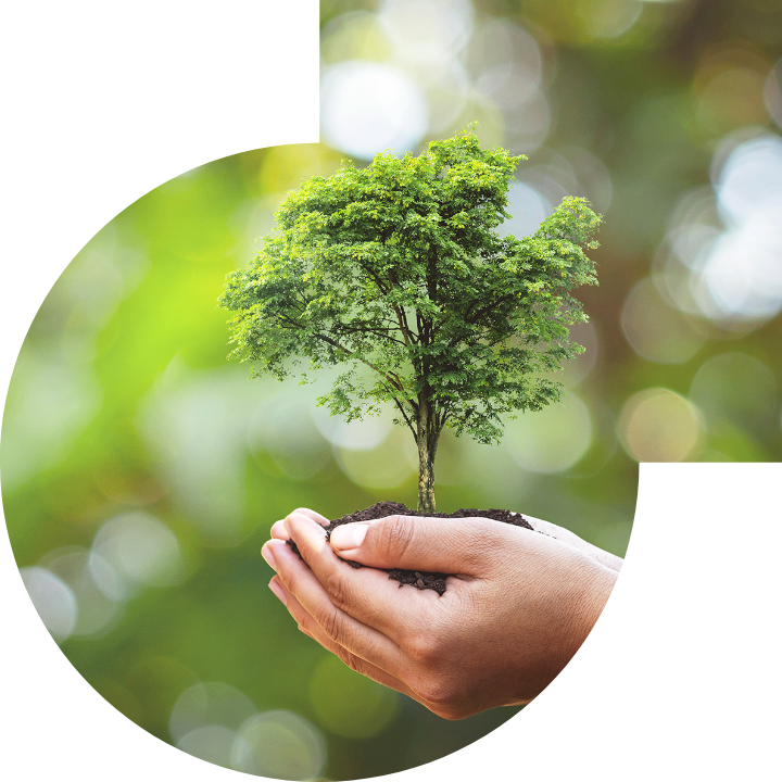 關懷人類、文化、環境與社會